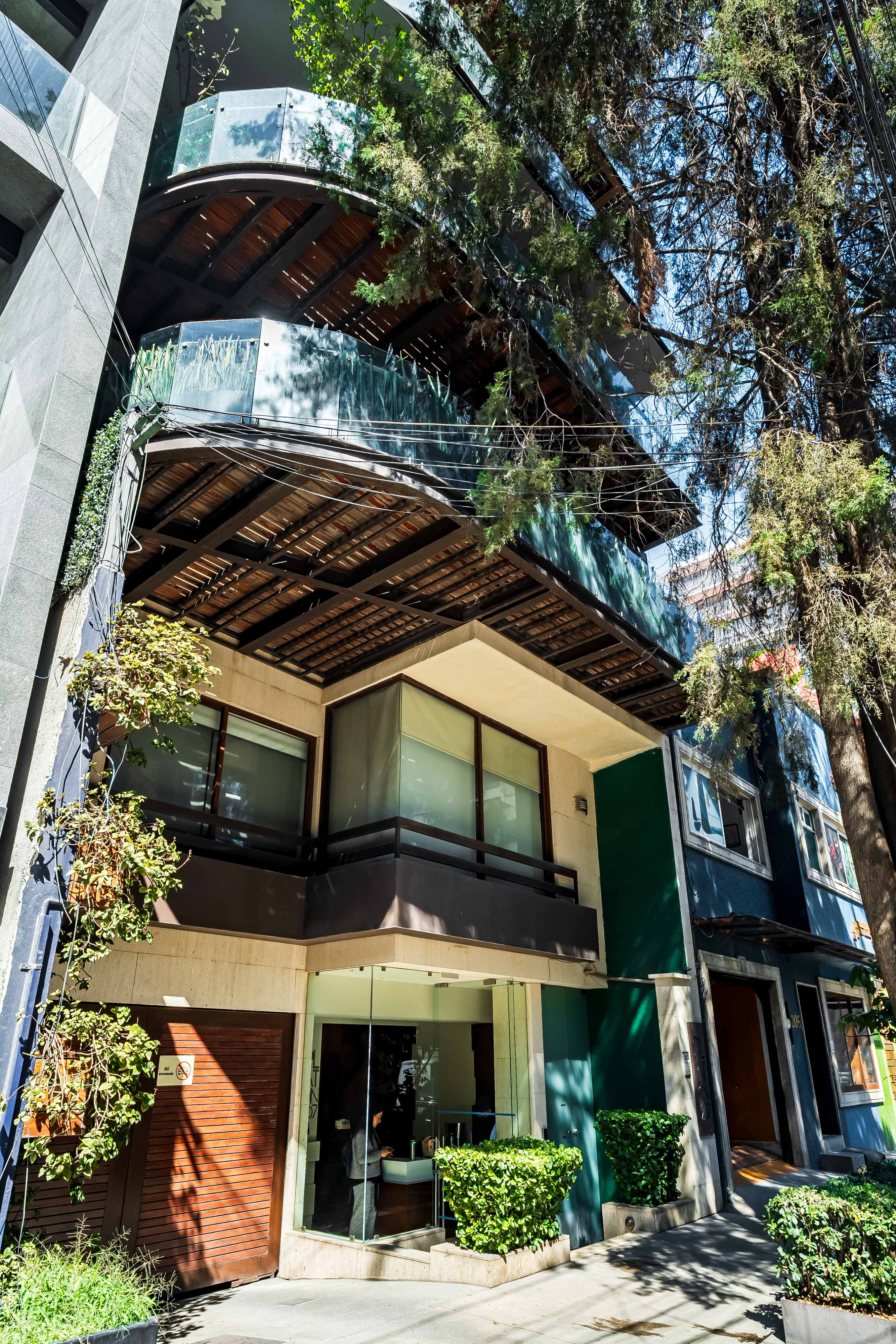 Platón 207 Polanco